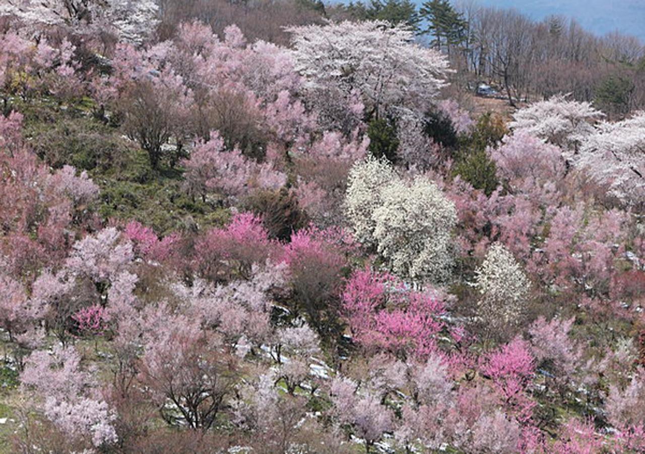 土湯温泉 やすらぎの宿 向瀧旅館 Fukushima (Fukushima) Exterior foto